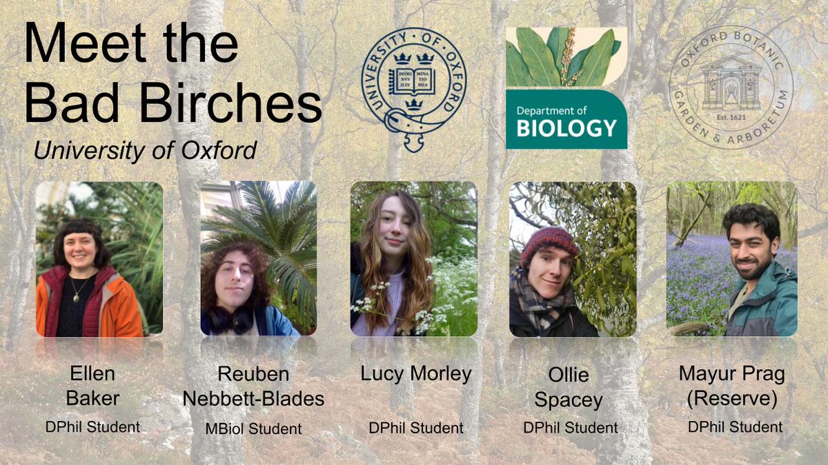 Dr M still going wild! tweet media