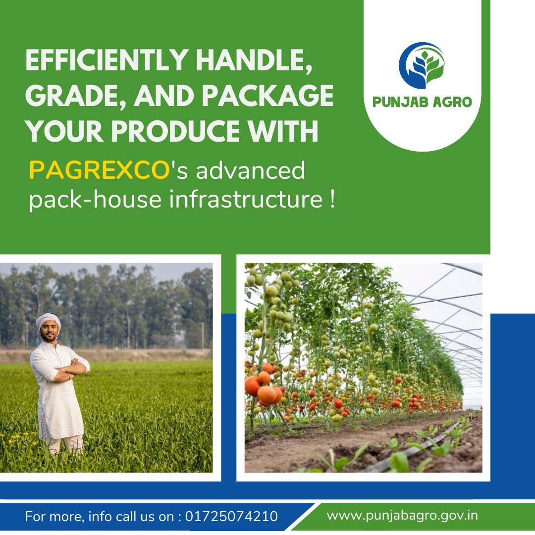 #PunjabAgro #PAGREXCO #AgriculturalRevolution #PunjabFarming #QualityProduce #FreshnessGuaranteed #GlobalMarketAccess #ModernInfrastructure #ExpandYourReach