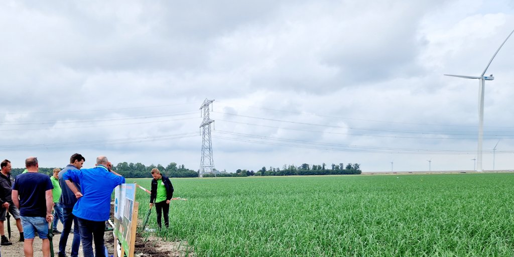 Bezoek binnenkort 1 van onze fertigatie-veldbijeenkomsten. We kijken naar de techniek, bespreken (proef)resultaten en delen ervaringen. Bekijk de data en locaties hier; iperen.com/2023/07/19/fer… #fertigatie #akkerbouw