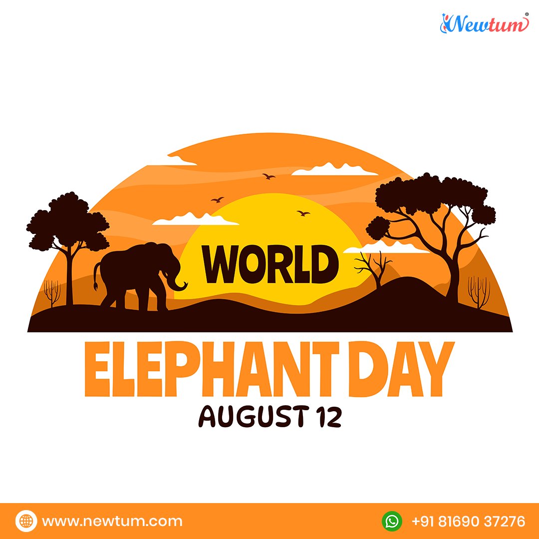 World Elephant Day plays a crucial role in uniting groups and individuals worldwide to address the threats elephants encounter.
#WorldElephantDay #SaveTheElephants #ElephantConservation #WildlifeProtection #EndPoaching #ElephantLove #ProtectWildlife #ElephantAwareness