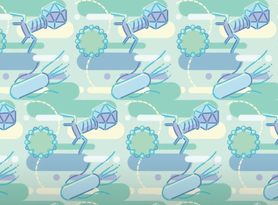 mycelinet's tweet photo. @mayakern coming in in support of the idea, haha! I actually did something on a similar theme for a homework assignment so you're not alone! (i think i was referencing a specific kind of memphis pattern here but I'm not sure at this point 🤷) https://t.co/nBipX2LEL5