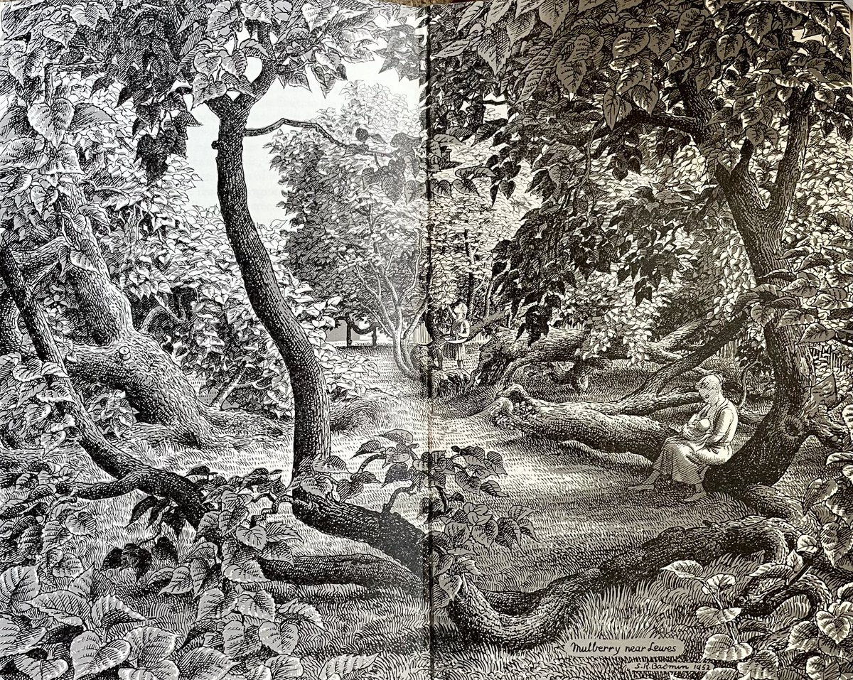 Other work of the Ladybird artists. 
‘The Mulberry Tree’
(Zoom in and wander round)
Artist: SR Badmin