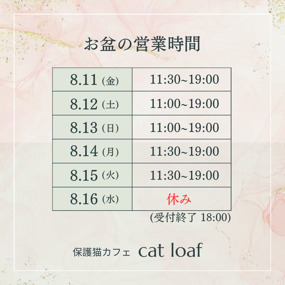 catloaf622's tweet photo. よろしくお願いします🙇‍♀️✨✨ https://t.co/M1s0x3dz3n