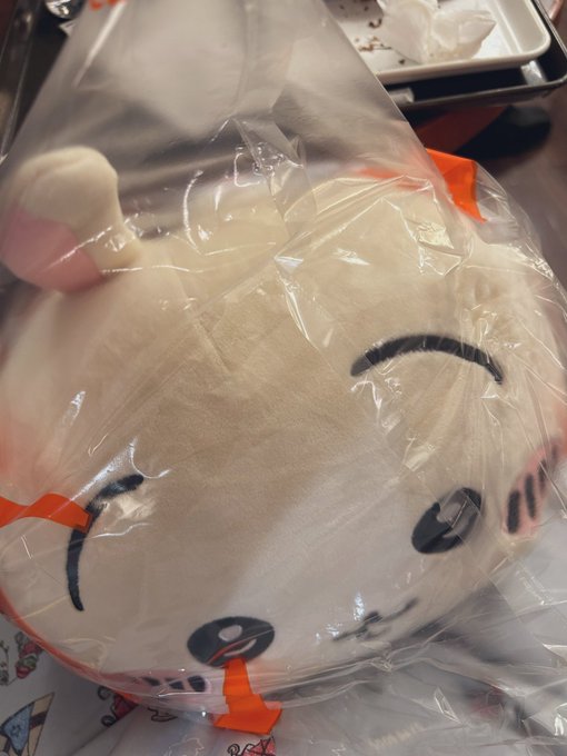 UFOキャッチャーでうさぎとれた!!300円で!神! 