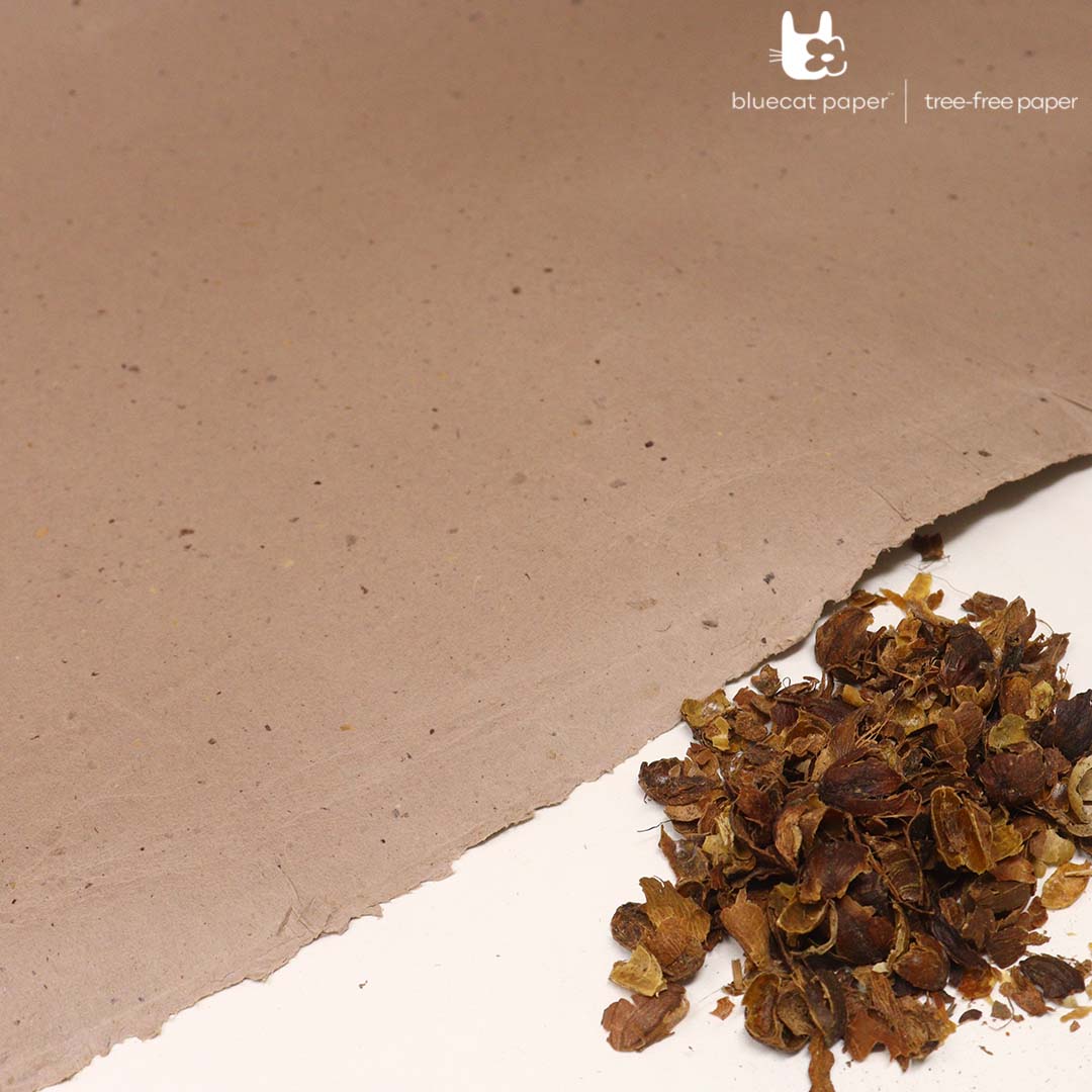 bluecatpaper's tweet photo. Did you know that coffee husk paper by @Bluecatpaper is created from the residual waste of coffee beans, specifically the skin of the coffee bean known as the husk! 

#BlueCatPaper 
 #treefreepaper #sustainability #sustainableliving #ecofriendly  #environmentallyfriendly https://t.co/lyDLIqjY8o