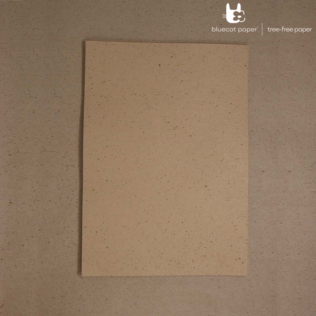 bluecatpaper's tweet photo. Did you know that coffee husk paper by @Bluecatpaper is created from the residual waste of coffee beans, specifically the skin of the coffee bean known as the husk! 

#BlueCatPaper 
 #treefreepaper #sustainability #sustainableliving #ecofriendly  #environmentallyfriendly https://t.co/lyDLIqjY8o