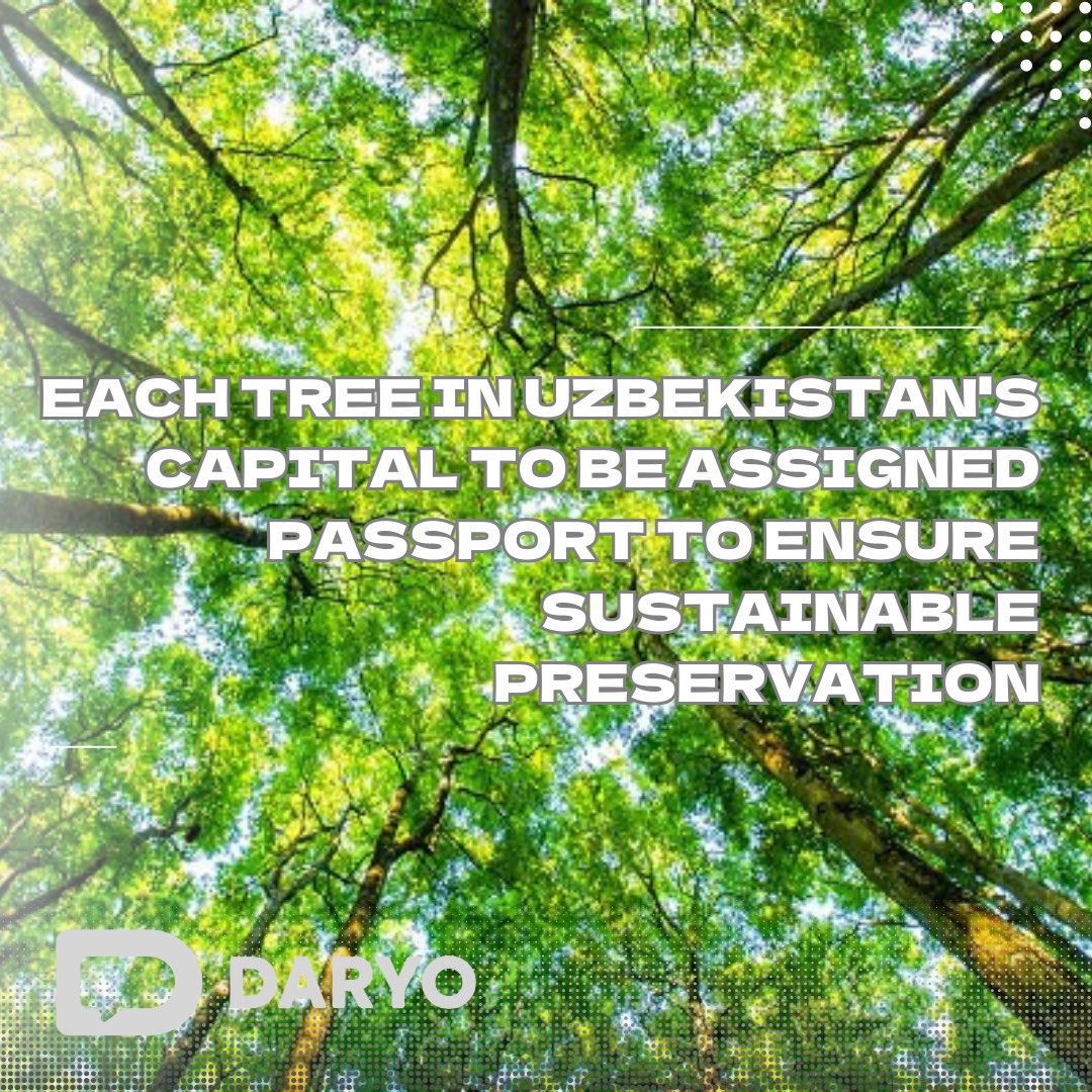DaryoEng's tweet image. Each #tree in #Uzbekistan's capital to be #assigned #passport to ensure #sustainable preservation

🌲🌳🌲🌳🌲

In 2024 an #additional 300 #hectares of #green spaces will be #created, #bringing the #total planned #green areas to 1,100 #hectares, including the #existing 900