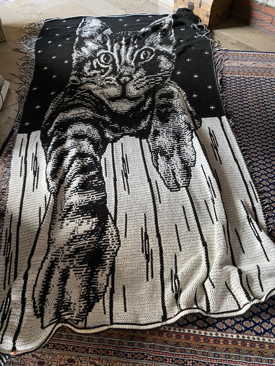 Bald ist die kleine Katze fertig ✅ 
Pattern by Anke Wintermanns 
#mosaic #crochetpattern #blanket