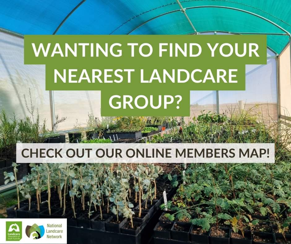 Landcare Association of SA (@landcaresa) on Twitter photo Have you been inspired by #NationalLandcareWeek? 🌳
Ready to volunteer for Landcare? 🤝
Head to our online members map now to find your nearest Landcare group!
landcaresa.asn.au/get-involved/m…
#landcare #landcareweek #landcaresa <a href="/NetworkLandcare/">National Landcare Network</a> Have you been inspired by #NationalLandcareWeek? 🌳
Ready to volunteer for Landcare? 🤝
Head to our online members map now to find your nearest Landcare group!
landcaresa.asn.au/get-involved/m…
#landcare #landcareweek #landcaresa <a href="/NetworkLandcare/">National Landcare Network</a>