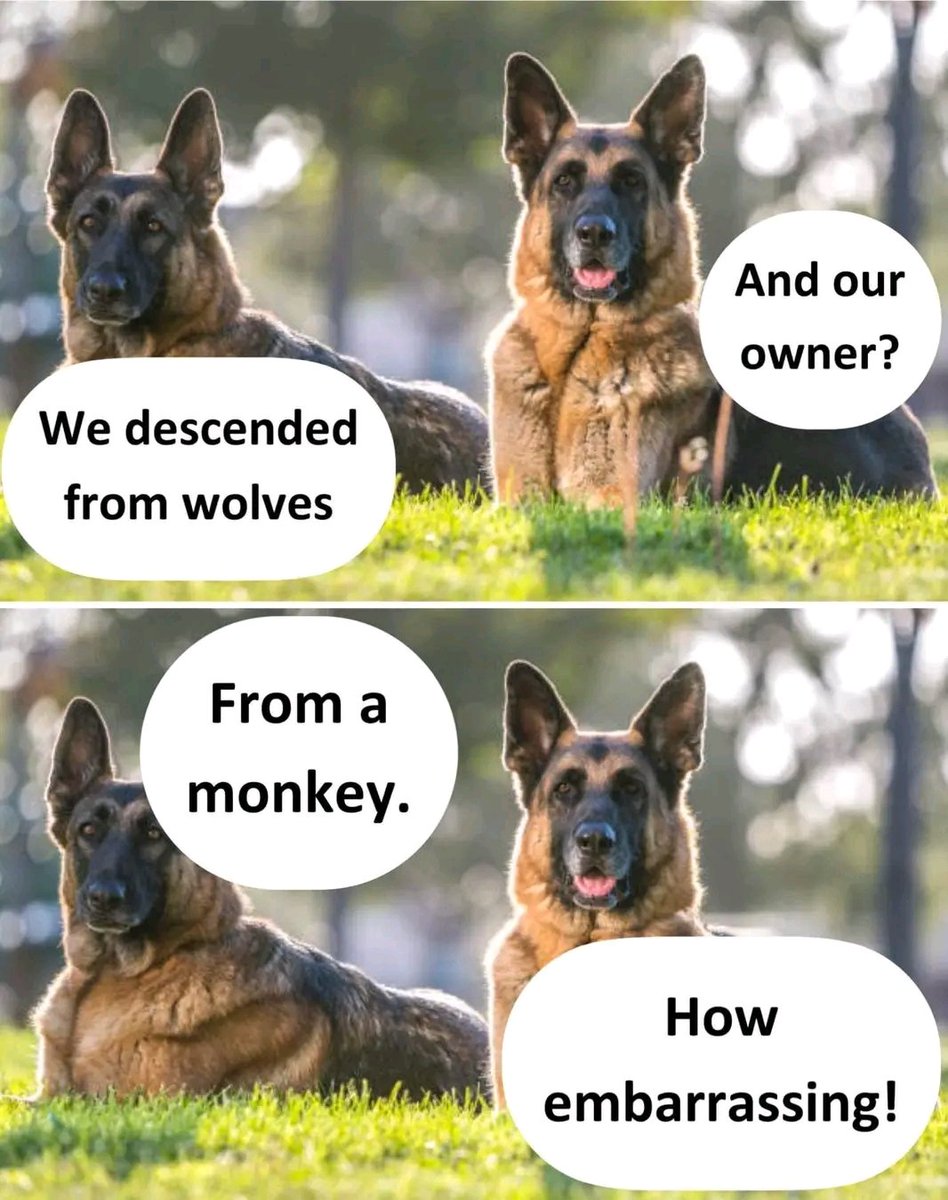 Lmao this got me rolling #dogs #humans
