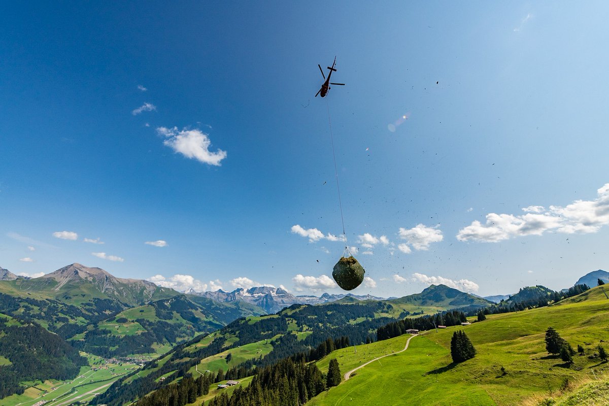 Wir dürfen täglich grosse Mengen an  frisch riechendem Wildheu ab den steilen Berghängen in den Schweizer  Alpen ausfliegen. Mit dem  jährlichen Mähen der Hänge, tragen die “Wildheuer” massgeblich zu  einem natürlichen Lawinenschutz in den Tälern bei.
#Helikopter #Landwirtschaft