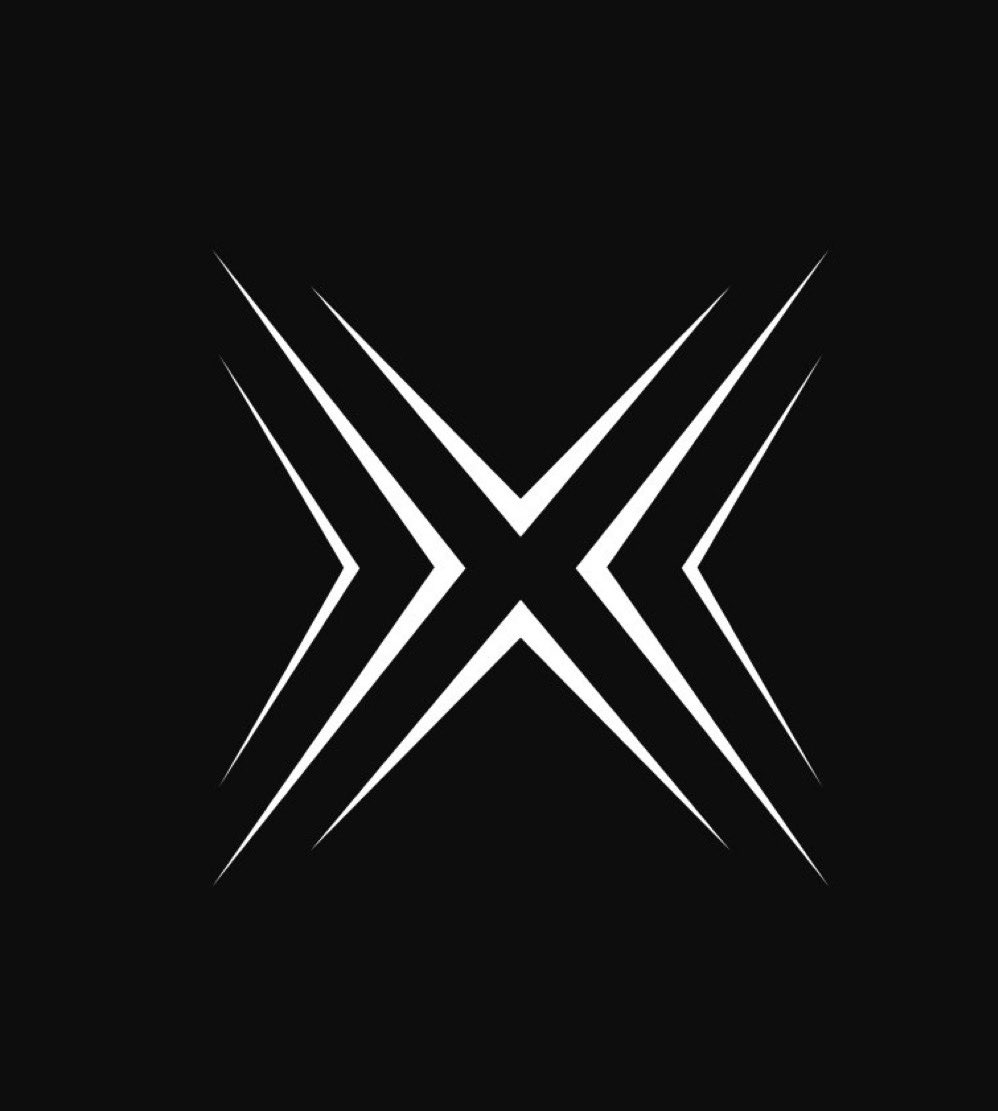 Do you like this X app logo?
