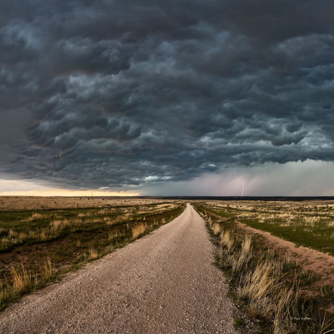 Phase One tweet media