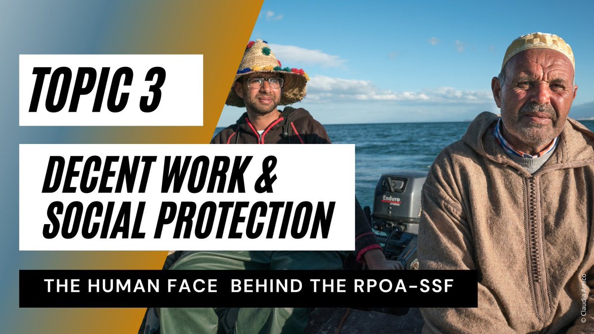 Fair employment opportunities, safe working conditions & better access to social protection are fundamental to improving #SSF's livelihoods & ensure the regeneration of the activity

Discover how #RPOA_SSF helps #smallscalefisheries workers 
fao.org/gfcm/activitie…
#IYAFA