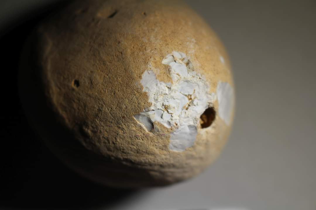 BtnHoveAS's tweet image. Day 3 (Weds) off or #BigDig: Much of the fill from the large "flint pit" has been removed.  We have had more interesting finds, including what may be antler &amp;amp; another hammerstone in the "flint pit."  Many more features are now appearing across the site. 
#RockyClump #archaeology