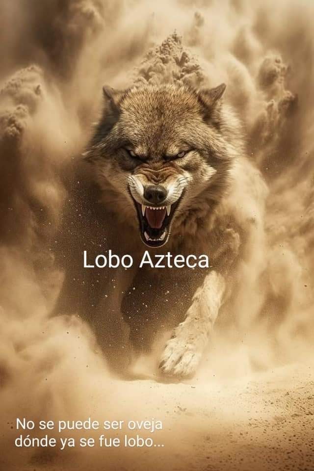 lolamorene's tweet photo. https://t.co/0gNPgVkZzz