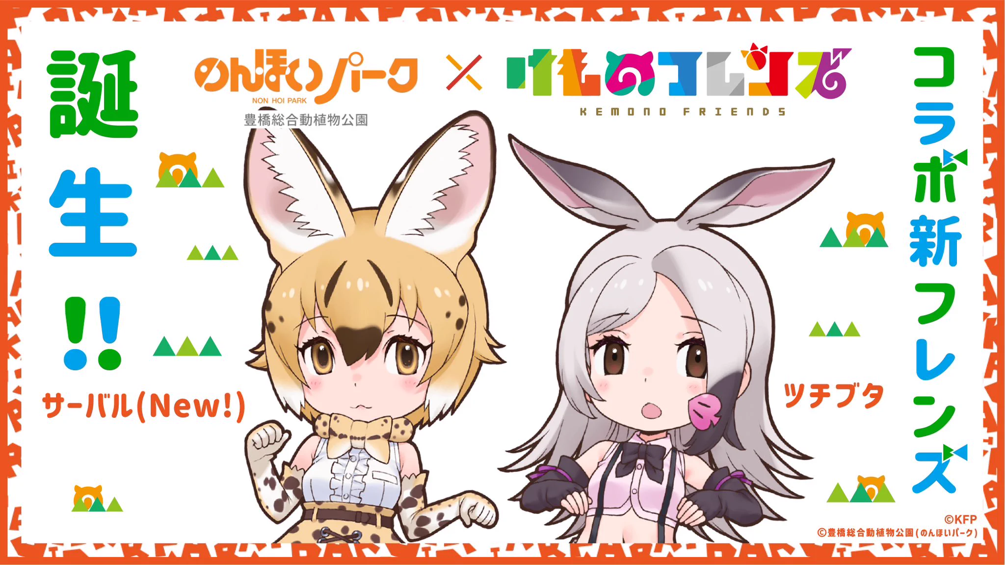 けものフレンズ ツチブタ、サーバー アクリルキーホルダー図鑑　未開封品 けものフレンズ＠公式アカウント on X: 