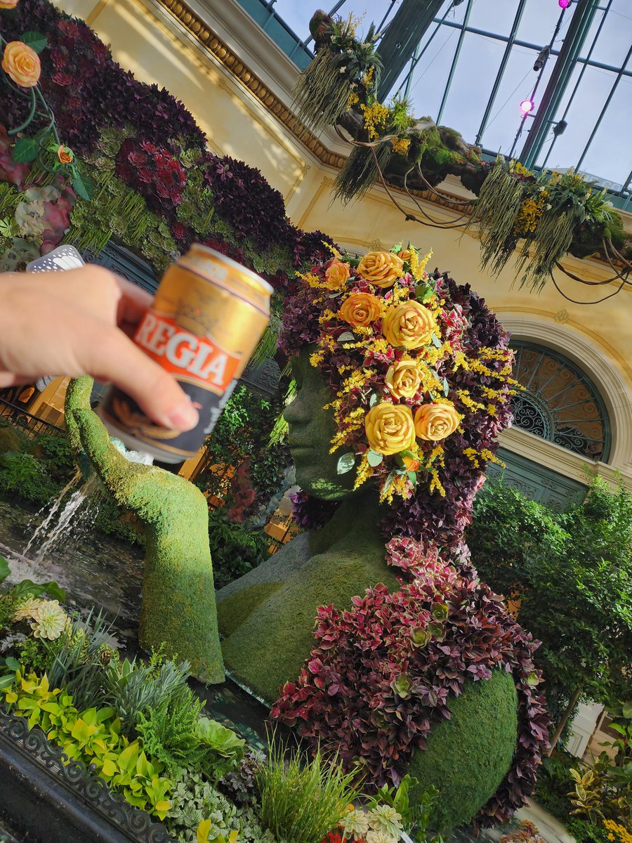 Kenneth SV tweet media