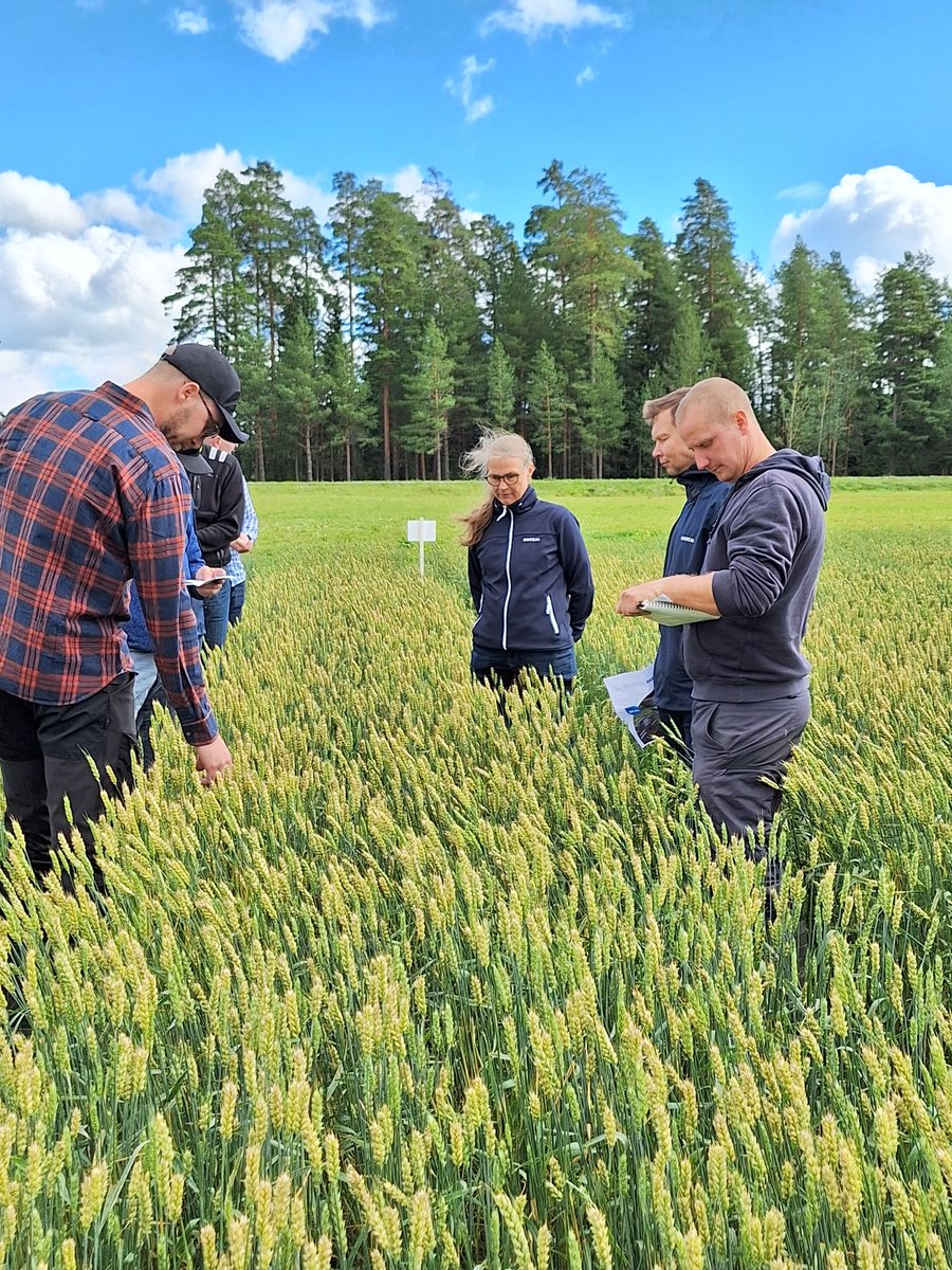 <a href="/Boreal_fi/">Boreal</a> 'n lajikeuutuudet kiinnostivat <a href="/hankkijafi/">Hankkija</a> 'n siemenasiantuntjoita #Kasvinjalostus #lajikkeet #viljelyvarmuus