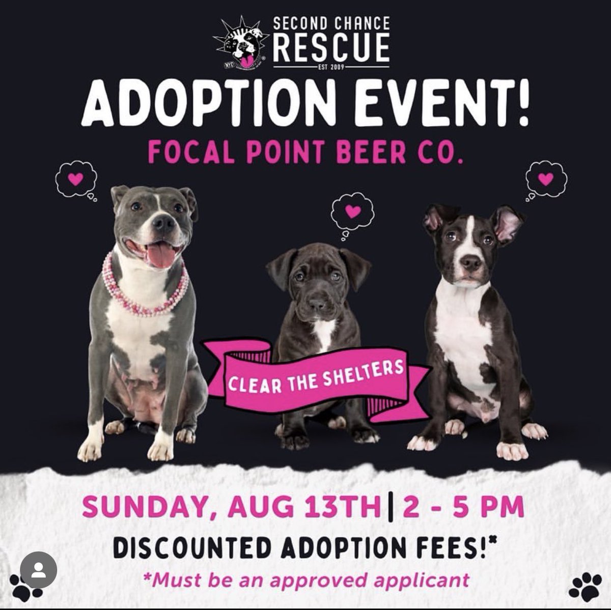 🐾 Surprise Adoption Event! 🐾 Join us this Sunday, 8/13, from 2 - 5 PM at @focalpointbeer in Queens for another pawsome adoption event! August is 'Clear The Shelters' Month, an annual campaign all about finding loving homes for homeless pets. #ClearTheShelters #AdoptDontShop