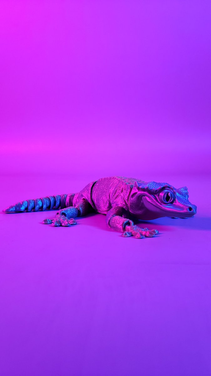 WANHAO 3D PRINTER tweet media
