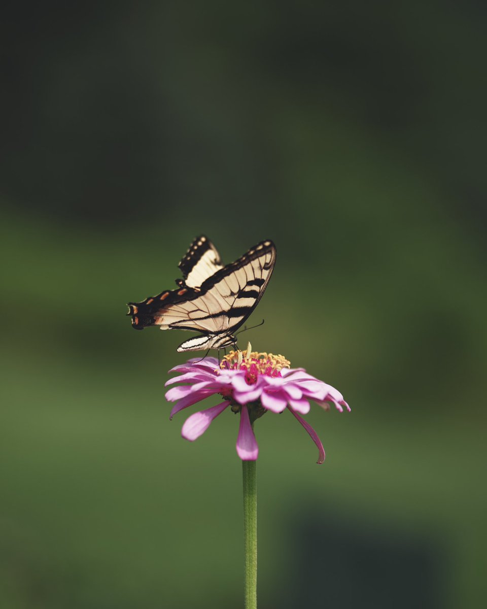 Aaron Burden tweet media