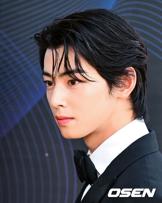 ChaEunwooINTL's tweet photo. Top cinema & actors/actresses influencers on Instagram worldwide - August 2023 

1. Zendaya
2. Dwayne Johnson
3. Jennifer Lopez
4. #CHAEUNWOO
5. Alia Bhatt
6. Millie Bobby Brown
7. Jenna Ortega
8. Shraddha Kapoor
9. Priyanka Chopra
10. Deepika Padukone

#차은우 #チャウヌ #车银优 #ช���อึนอู #車銀優