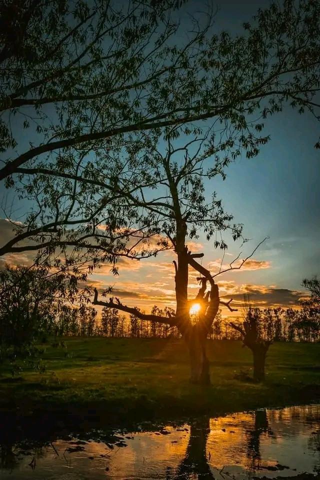 Pinkydas0's tweet photo. সুপ্ৰভাত 🌄
#GoodMorningEveryone https://t.co/A7DwrmT9Nw