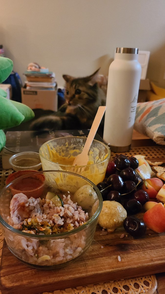 cisgenderhaver's tweet photo. #catdinner https://t.co/v2A9Vv4NNg