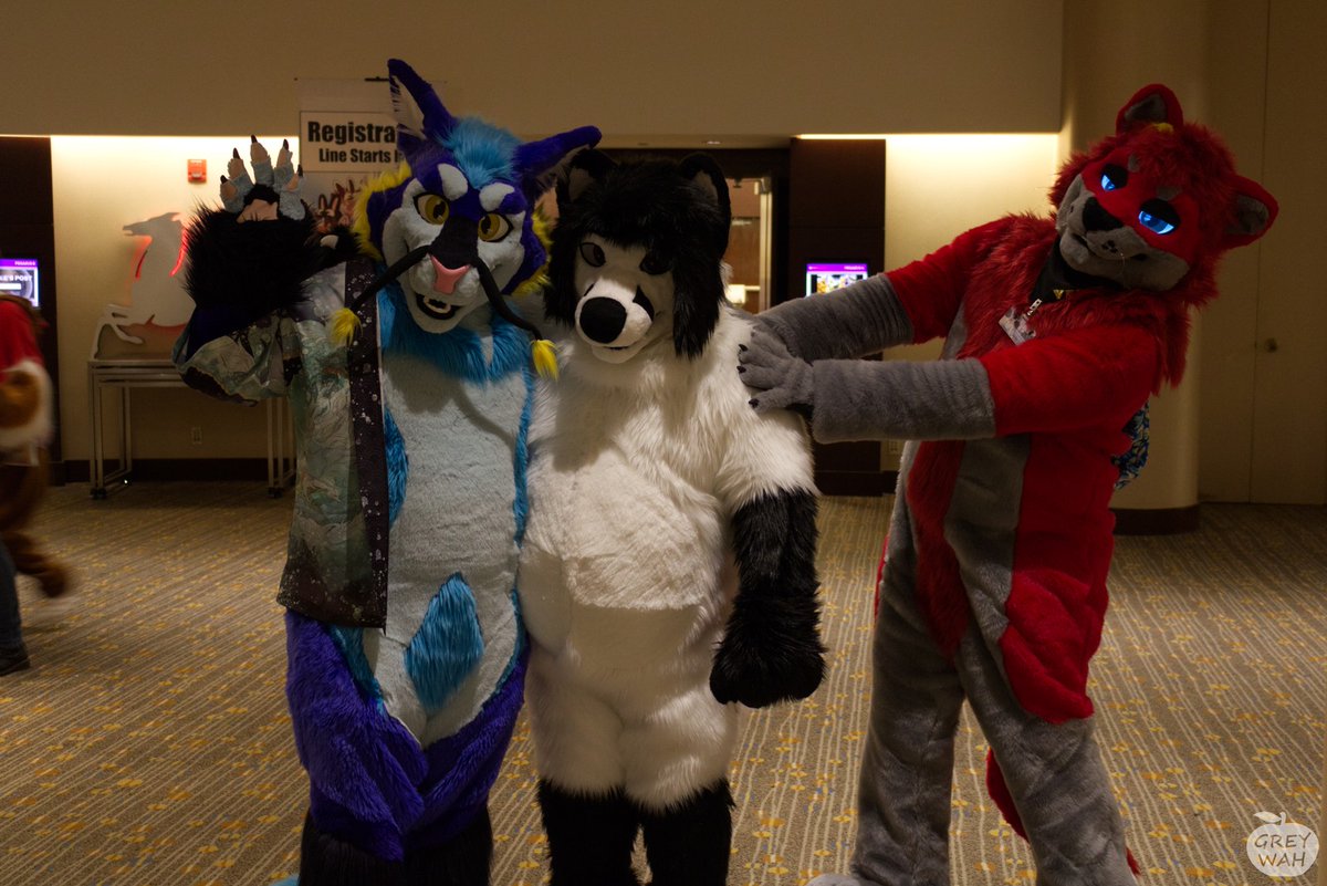 Velle/Ruger Shep🛫 TFF&LVFC tweet media