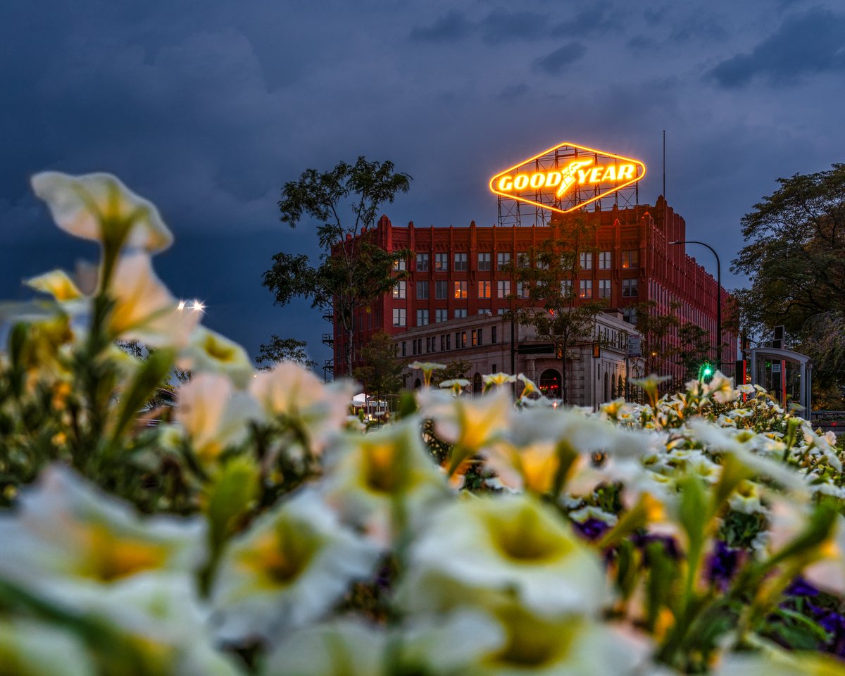 Today the Goodyear sign lit up for the first time since 2015.