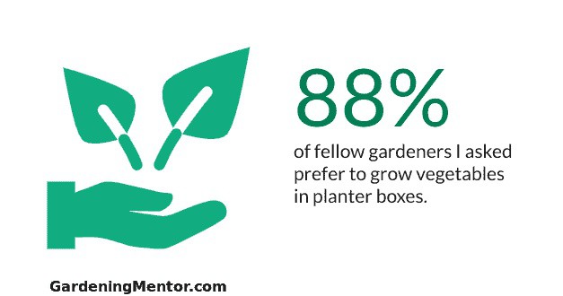 gardeningmentor's tweet image. 12 Fantastic Steps To Grow Vegetables In Planter Box: lttr.ai/AFQuN

#OrganicVegetables #PlanterBox #AskedFellowGardeners #NeemCakePowder #EggplantsMultipleTimes #EffortRemovingWeeds