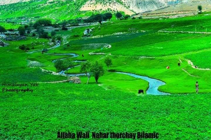 JRZ Travel and Tours tweet media
