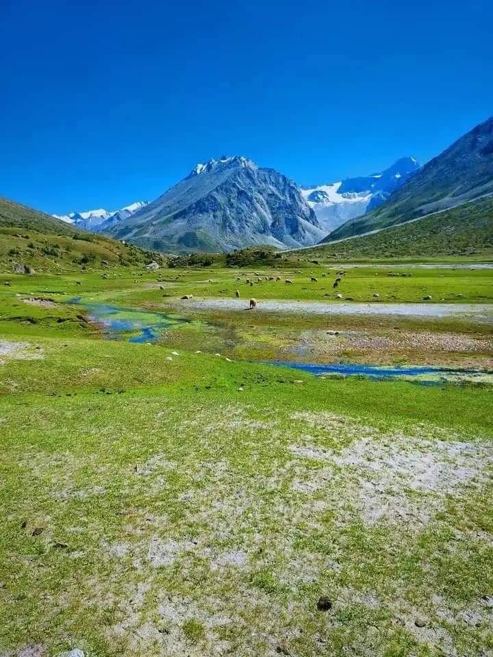 JRZ Travel and Tours tweet media