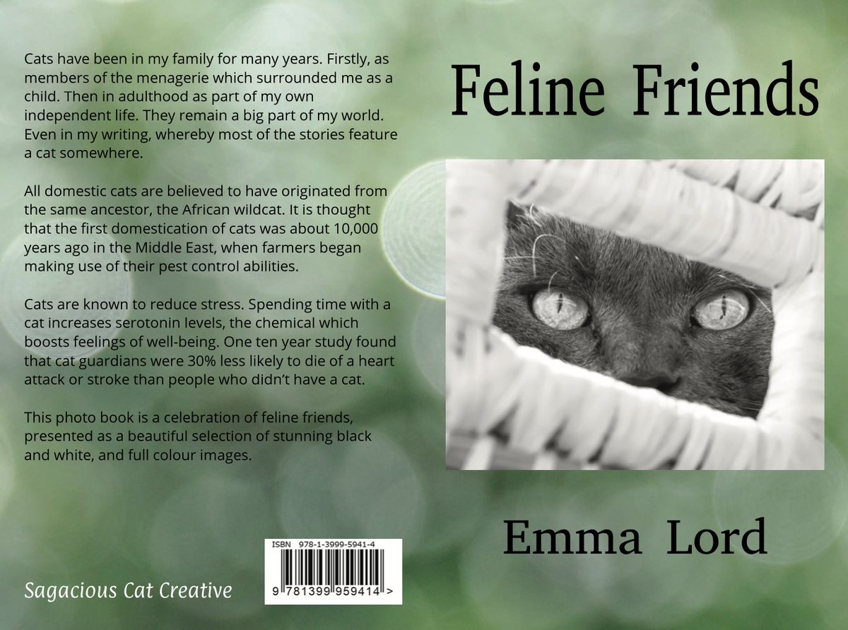 Feline Friends is available on Amazon. A perfect gift for cat lovers of all ages, the minimal text makes it easy for children to enjoy. The photographs and calm green background also mean the book is well suited to those suffering from illnesses such as dementia.