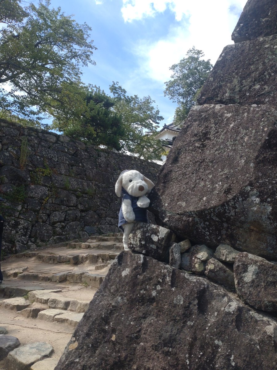 brick_brook's tweet photo. さぁて、僕がいるこのお城はどこでしょう？ https://t.co/jIWFixoZRv