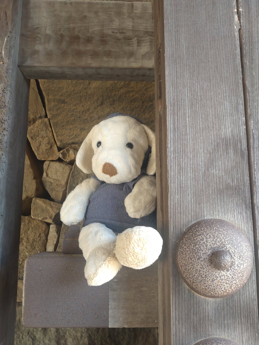 brick_brook's tweet photo. さぁて、僕がいるこのお城はどこでしょう？ https://t.co/jIWFixoZRv