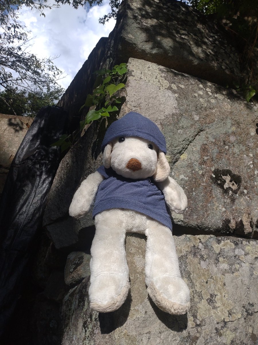brick_brook's tweet photo. さぁて、僕がいるこのお城はどこでしょう？ https://t.co/jIWFixoZRv