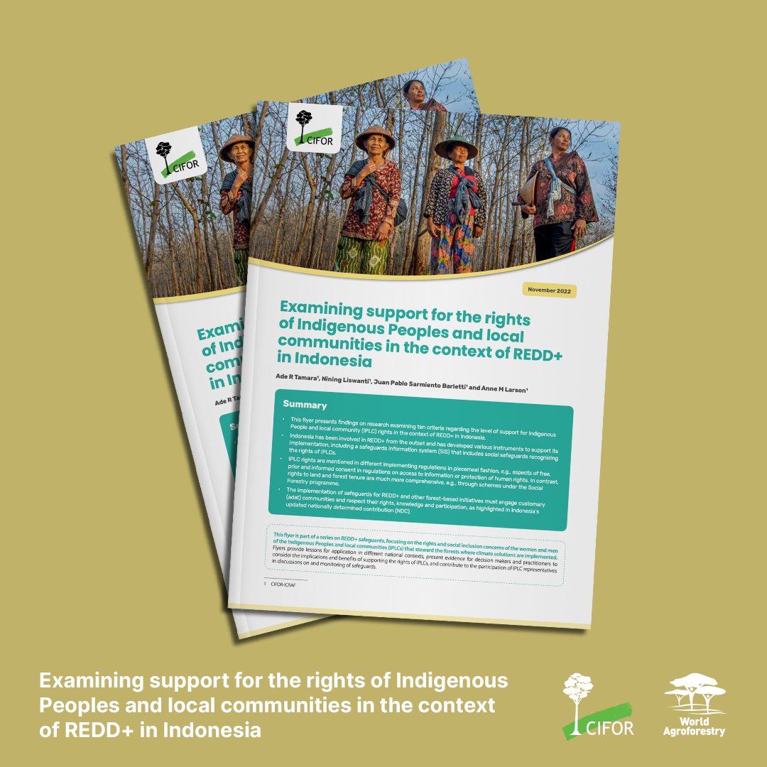 LandAllianceID's tweet photo. 📚 Dari perpustakaan @CIFOR_ICRAF
🇮🇩 Examining support for the rights of Indigenous Peoples and local communities in the context of REDD+ in Indonesia | https://t.co/kMIwoaWRjm
#IndigenousDay #HariMasyarakatAdat #MasyarakatAdat #GCSREDD https://t.co/SeGB0qtROr