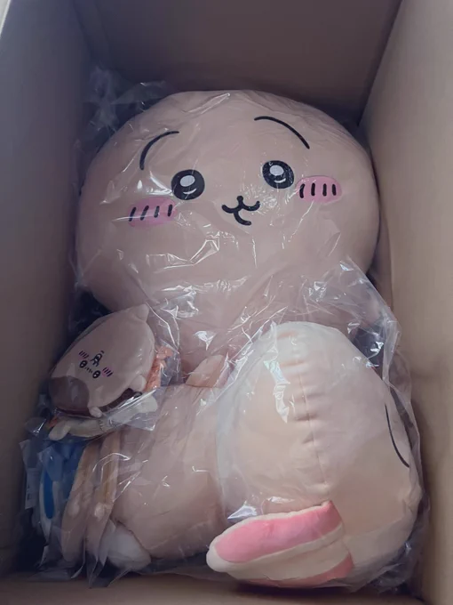 私の10連がやっと届きました A賞これが1000円…!?ってくらい、ほんとに大きくてびっくりしている…  郵送交換難しそうだけど、これ手渡し交換もとんでもない大きさ… どなたか我が家のAうさぎ、Bうさぎをハチワレちゃんに交換できる方いらっしゃったらお声がけいただけると助かります