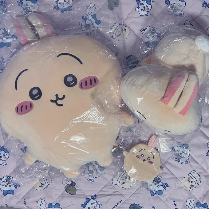 私の10連がやっと届きました A賞これが1000円…!?ってくらい、ほんとに大きくてびっくりしている…  郵送交換難しそうだけど、これ手渡し交換もとんでもない大きさ… どなたか我が家のAうさぎ、Bうさぎをハチワレちゃんに交換できる方いらっしゃったらお声がけいただけると助かります