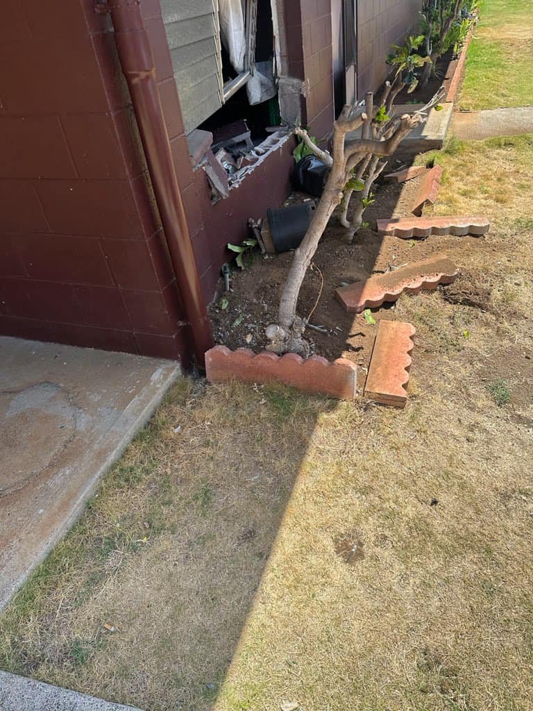 Bobby Widhalm tweet media