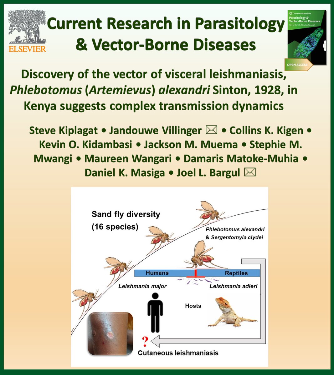 New in @CRPVBD

First record of Phlebotomus (Artemievus) alexandri and a putative new species of Sergentomyia in Kenya.

▶️sciencedirect.com/science/articl…

#sand flies #Phlebotomus #Sergentomyia #Leishmania #leishmaniasis #bloodmeal

<a href="/Stevogat/">Steve Kiplagat</a> <a href="/kwambo_2/">Damaris Matoke</a>