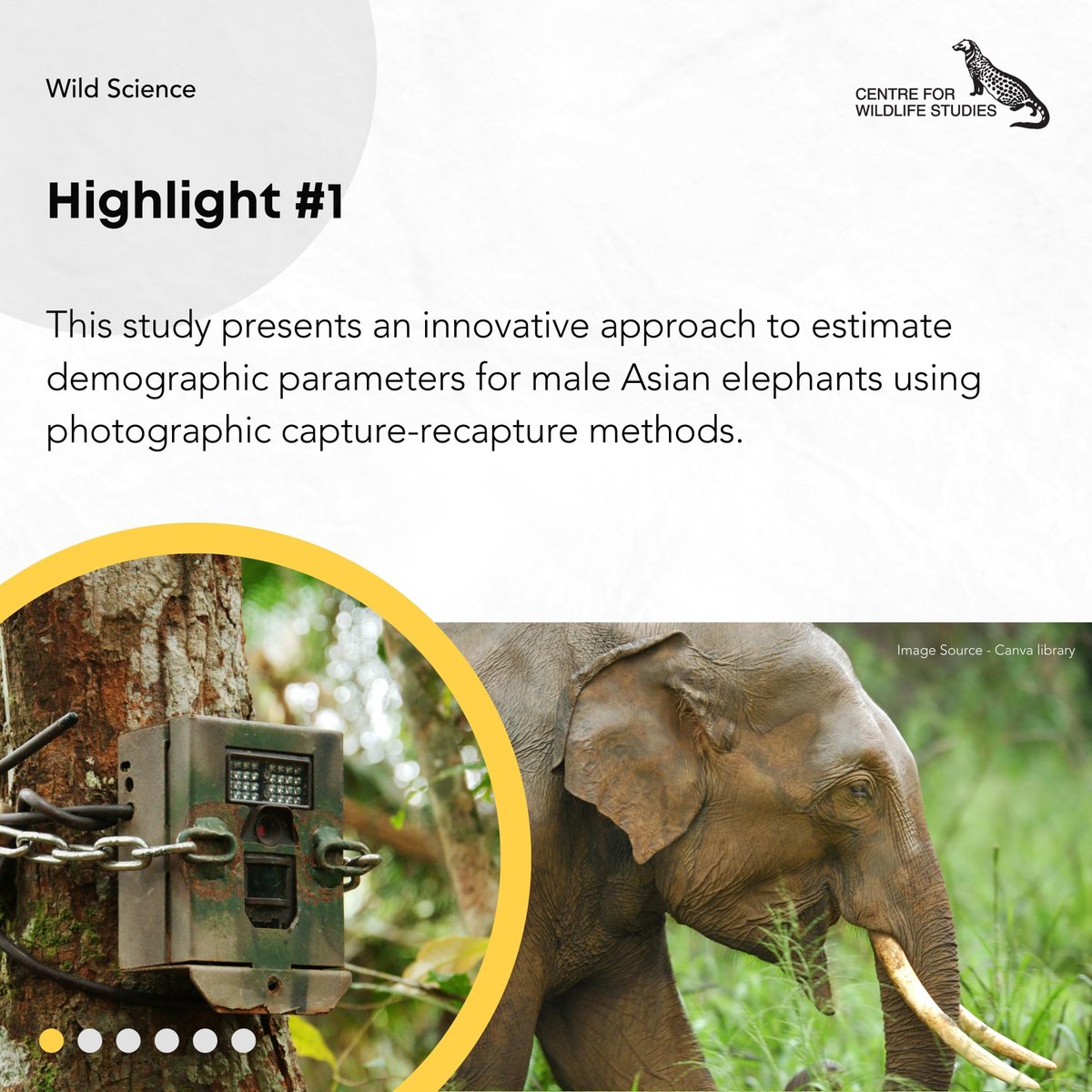 cwsindia's tweet photo. Check our latest #WildScience blog at https://t.co/vYrRoqcwI0 to know the remarkable connection between science and conservation, as researchers aim towards safeguarding #asianelephants for generations to come.
#Nagarahole #Bandipur #scienceblog https://t.co/dYDrOLghxL