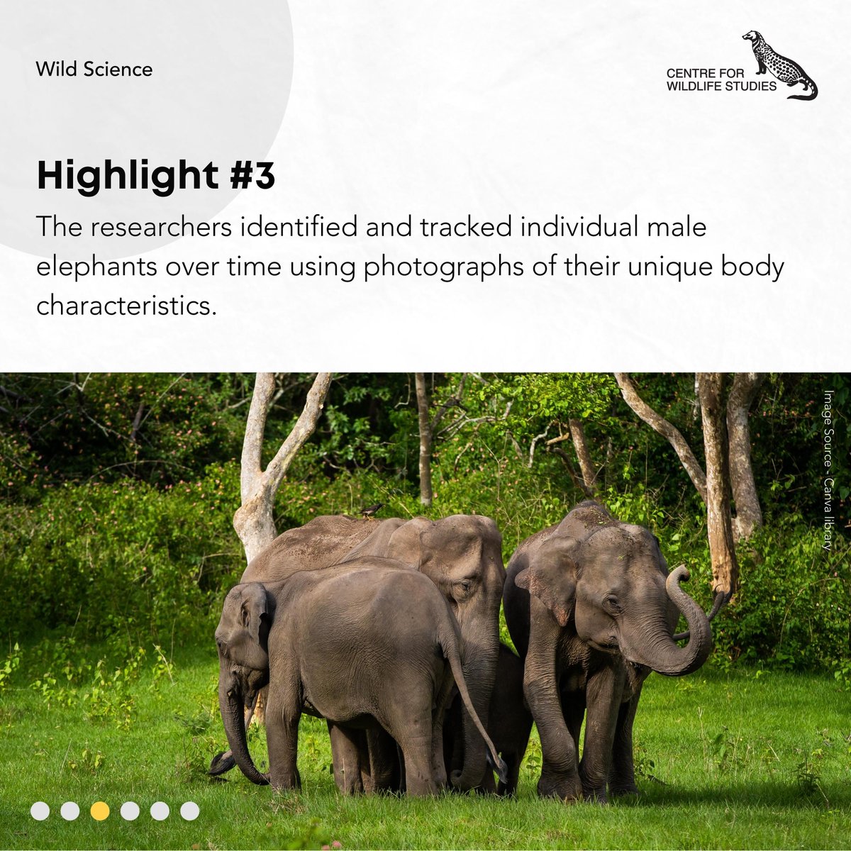 cwsindia's tweet photo. Check our latest #WildScience blog at https://t.co/vYrRoqcwI0 to know the remarkable connection between science and conservation, as researchers aim towards safeguarding #asianelephants for generations to come.
#Nagarahole #Bandipur #scienceblog https://t.co/dYDrOLghxL