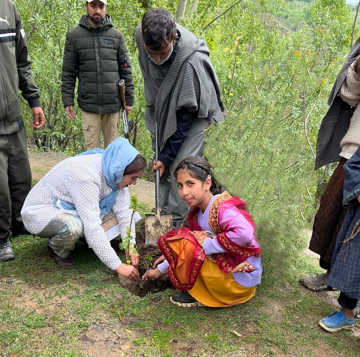 vasu63497's tweet photo. Calling all tree enthusiasts, leaf lovers, and forest fanatics! Let's unite and make the world a wilder, greener, and cooler place.
#GoGreen   #SaveTrees   #Environment #Nature #SaveTreesSaveEarth     #GreenKashmir https://t.co/PBKqQdXCu5