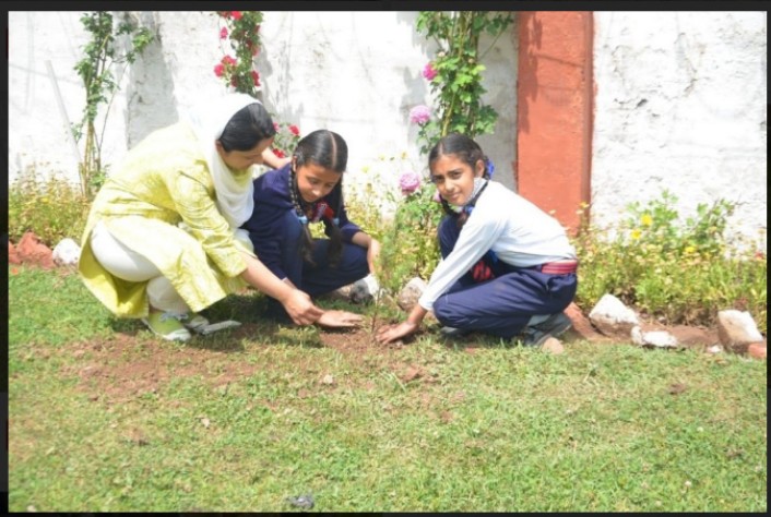 vasu63497's tweet photo. Calling all tree enthusiasts, leaf lovers, and forest fanatics! Let's unite and make the world a wilder, greener, and cooler place.
#GoGreen   #SaveTrees   #Environment #Nature #SaveTreesSaveEarth     #GreenKashmir https://t.co/PBKqQdXCu5