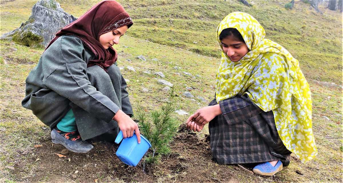 vasu63497's tweet photo. Calling all tree enthusiasts, leaf lovers, and forest fanatics! Let's unite and make the world a wilder, greener, and cooler place.
#GoGreen   #SaveTrees   #Environment #Nature #SaveTreesSaveEarth     #GreenKashmir https://t.co/PBKqQdXCu5