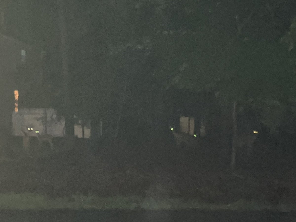 Can’t even describe the NOISES sweet boy Cooper made when he saw this upon going outside