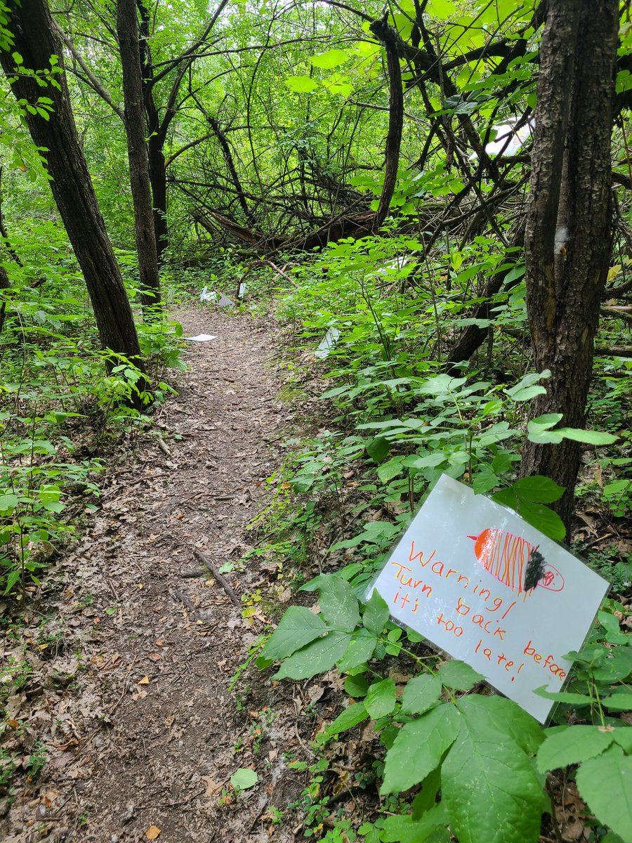 Anna Dutke tweet media